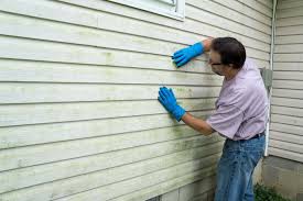 Best Insulated Siding Installation  in Deerfield Beach, FL